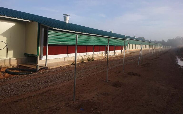 Exterior de la granja de pavos de Agrogisel afectada por la granizada del 3 mayo 2025 (valderrobles, Teruel)