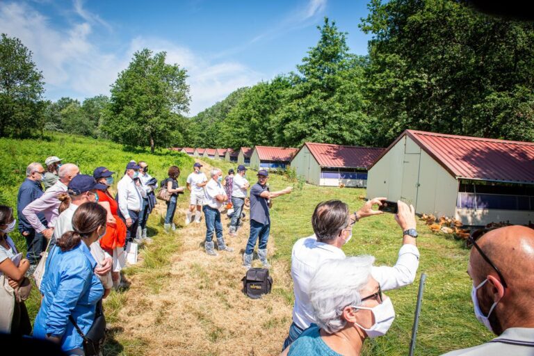 200 potenciales nuevos avicultores asistieron a la presentación y jornada de puertas abiertas organizada por la Cooperativa Maïsadour en la que detallarón su plan para subvencionar el 40% de los costes de la nueva granja avícola de carne, independientemente de que sea granja industrial de broilers"Plein air" o de "Pollos al aire libre"