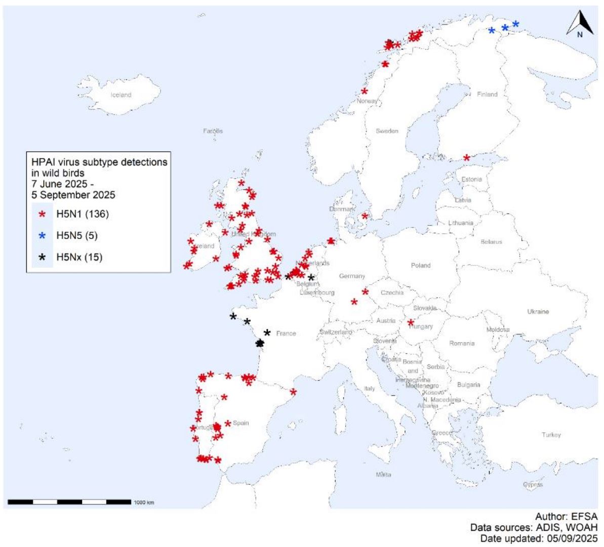 Distribución basada en las geocoordenadas disponibles, de las detecciones del virus de IAAP (influenza aviar altamente patógena) en aves silvestres (156) , reportadas por subtipo de virus en Europa desde el 7 de junio al 5 de septiembre de 2025. Fuente: EFSA