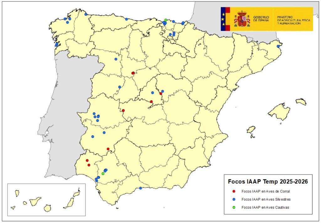 Localización de focos de IAAP en aves silvestres, cautivas y de corral notificados en España (temporada 2025-26) hasta el 1 octubre 2025 inclusive.