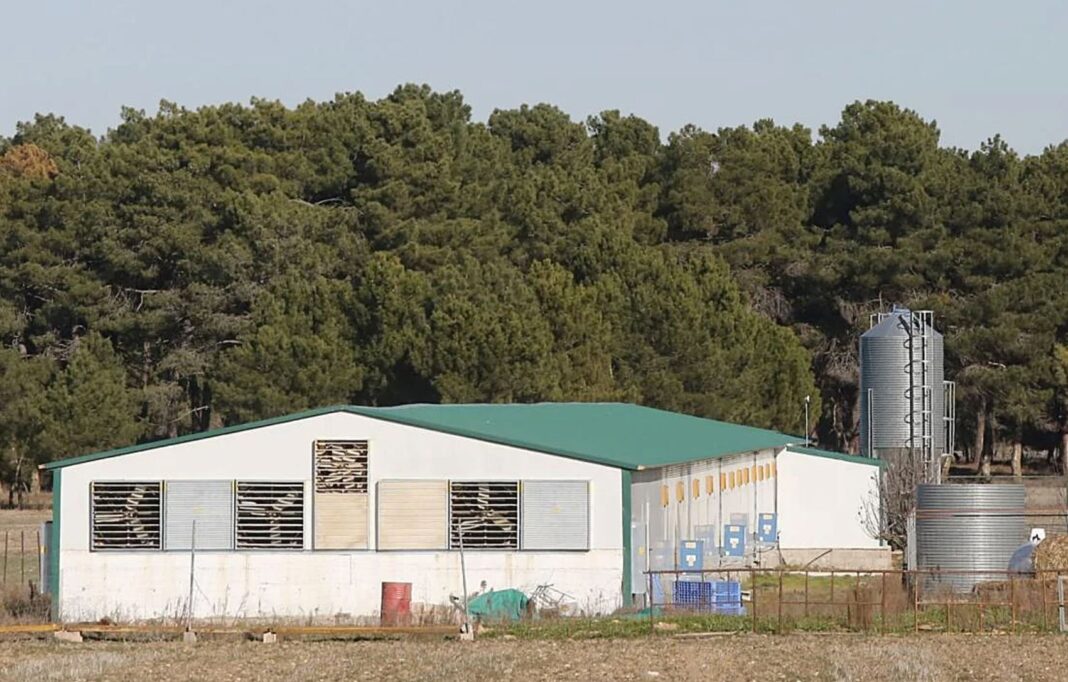 Granja afectada por gripe aviar en Segovia. Foto de Rubén Cacho publicada en Leonoticias