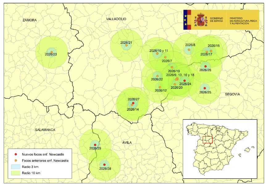 Mapa: En rojo, localización de los seis nuevos focos de enfermedad de Newcastle hasta el 22 de julio inclusive
En naranja, focos previamente confirmados.