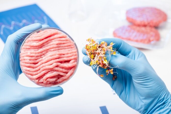 carne-artificial-101