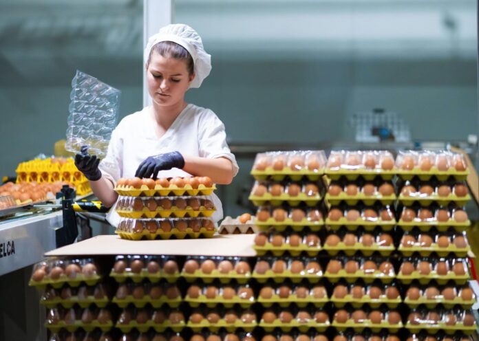 costes reconversion avicultura de puesta en espana a partir 2024 3