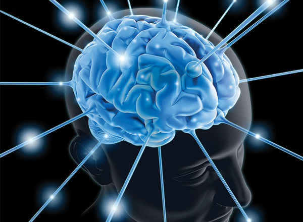 huevos-consumo-prevencion-Alzheimers