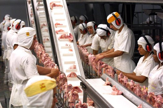matadero de pollos