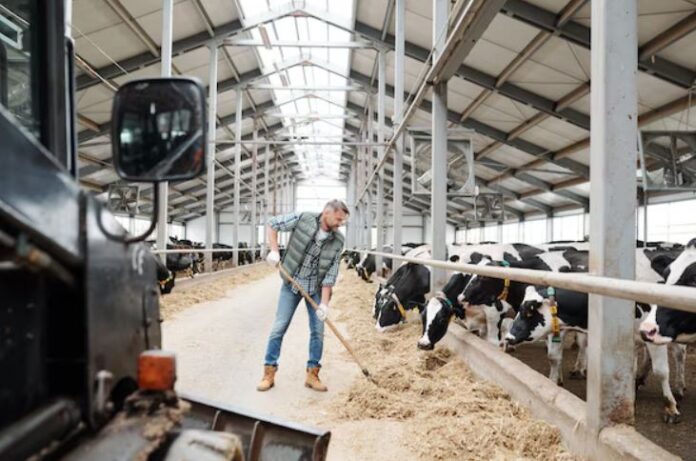transmision virus gripe aviar a una persona en una granja de vacas