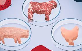 carne-artificial-102