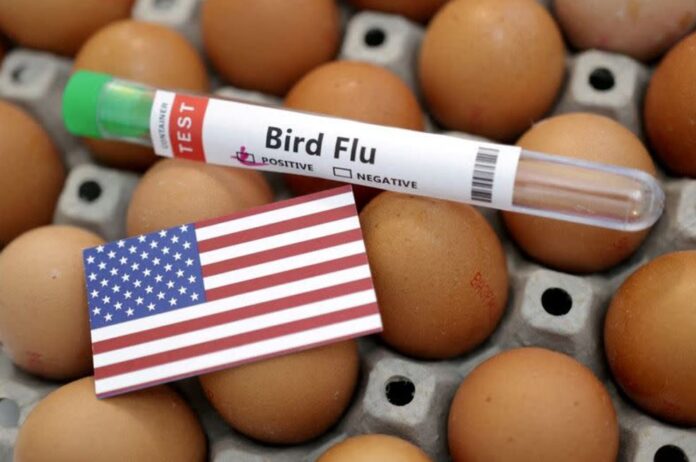 influenza-aviar-20241122-evolucion-casos-EEUU-hasta-20241122-foto