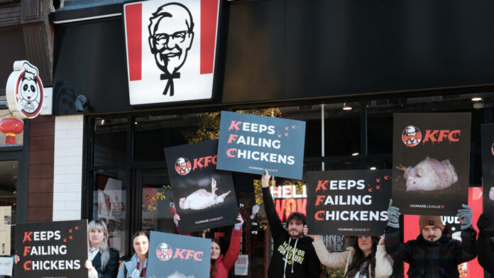 compromiso.europeo-del-pollo-KFC-3