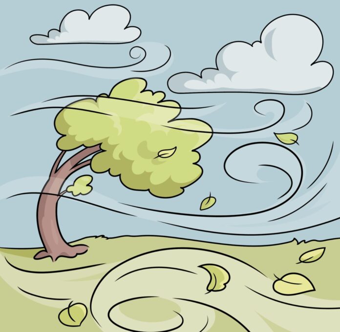 gripe-aviar-puede-propagarse-a-traves-del-viento-3