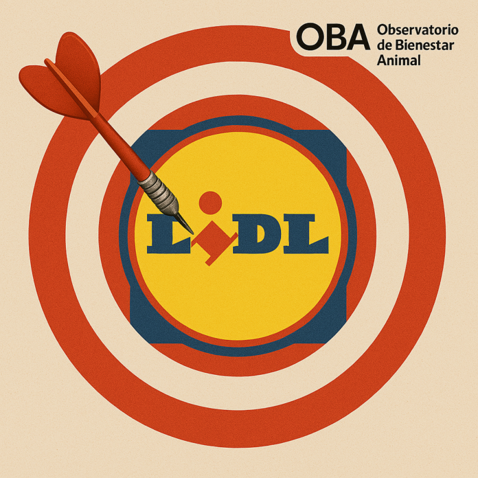 OBS-ataques-a-LIDL-2