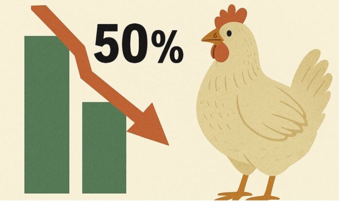 fig 11 uso antibioticos en ganaderia y en avicultura en UE en 2023