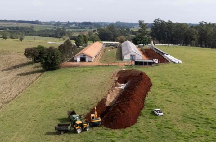 Una excavadora abre espacio para enterrar las aves sacrificadas en la granja de reproductoras para carne afectada de Montenegro, en Río Grande do Sul, debido al foco de gripe aviar identificado allí — Foto: Silvio Avila/AFP