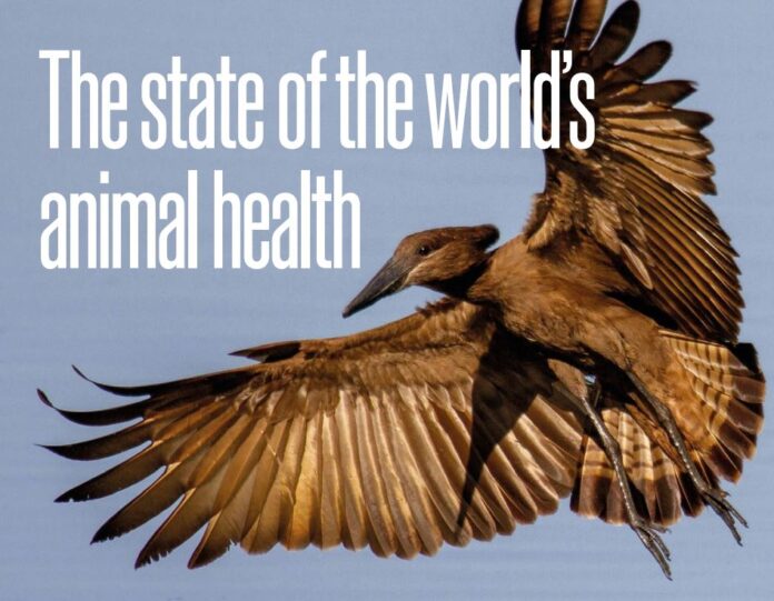 WOAH-world-animal-health-report-2025-20250523-sq