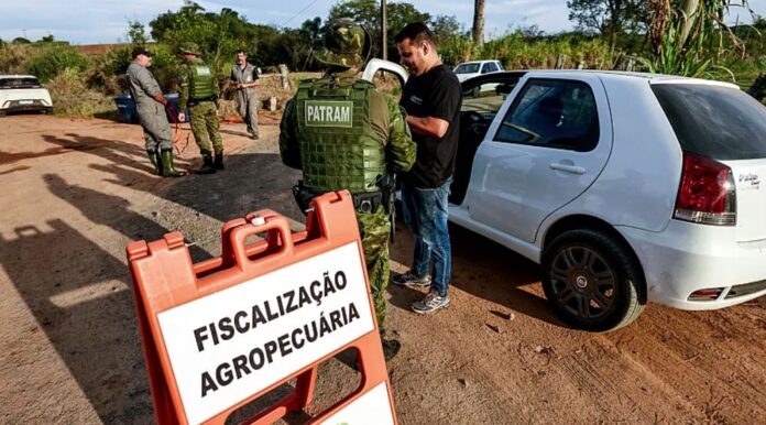 influenza-aviar-brasil-fin-brote-20250618-1
