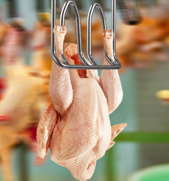 mercado-mundial-de-la-carne-de-pollo-tendencias