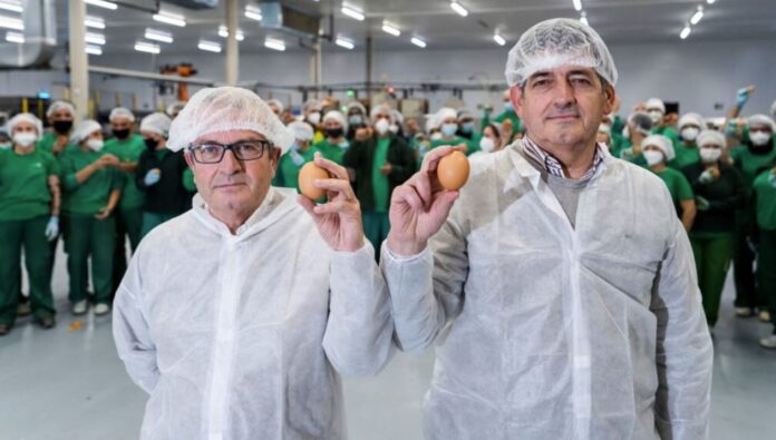 producciones-avicolas-el-granjero-2