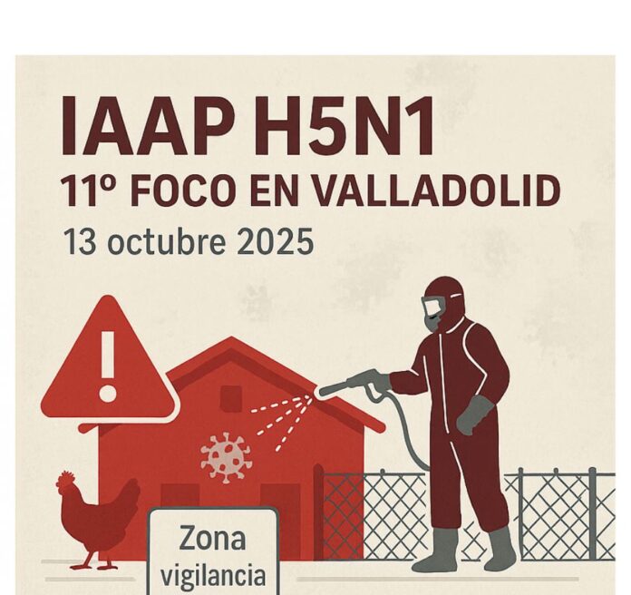 influenza-aviar-en-espana-20251014-imagen-creada-por-NeXusAvicultura-bis