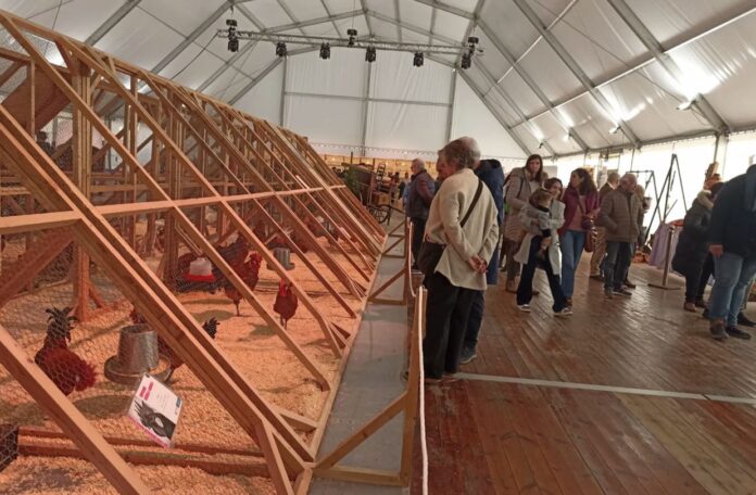 raza-prat-fira-2025-52a-edicion-aves-en-exposicion-20251129