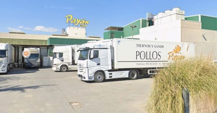 PAYAN-matadero-pollos-adquirido-por-UVESA-MHP-20260312-1