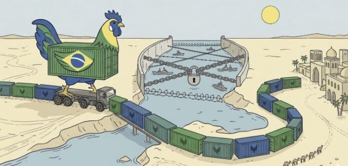 rutas-logisticas-exportacion-pollo-1