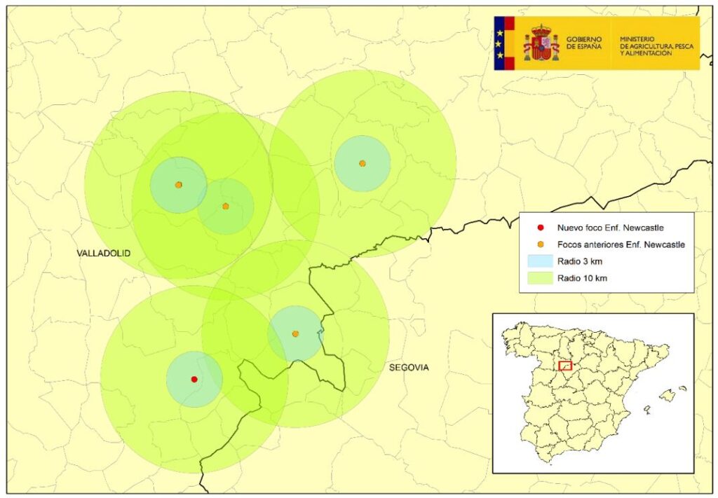 Mapa: En rojo, localización del nuevo foco (30 junio 2026) de enfermedad de Newcastle en granja de 300.000 ponedoras en Olmedo (provincia de Valladolid). En naranja, focos previamente confirmados. Fuente: MAPA