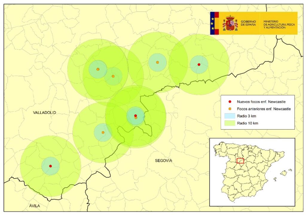 Mapa: En rojo, localización de los TRES nuevos focos del 1 de julio 2026 que en total han afectado a 159.604 pollos y 141.592 ponedoras (todos en la provincia de Valladolid). En naranja, focos previamente confirmados.. Fuente: MAPA
