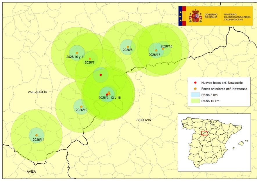 Mapa actualizado el 6 julio 2026 con el brote foco en gallinas de recría y en pollos. En rojo, localización de los nuevos focos de Newcastle. En naranja, focos previamente confirmados. Fuente: MAPA